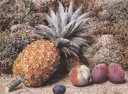 John Sherrin A Pineapple,a Peach and Plums on a mossy Bank (mk37) oil painting picture wholesale